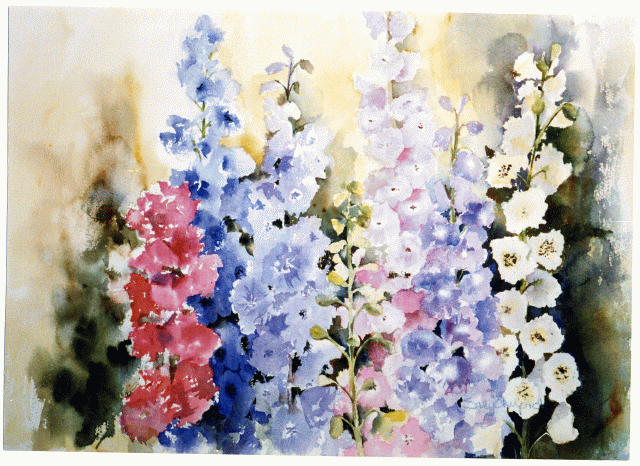 Watercolour painting of a colourful variety of delphiniums.